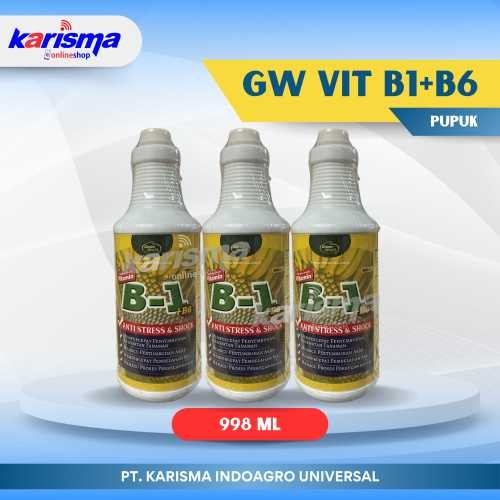 GW Vit B1+B6 12 X 998 ml