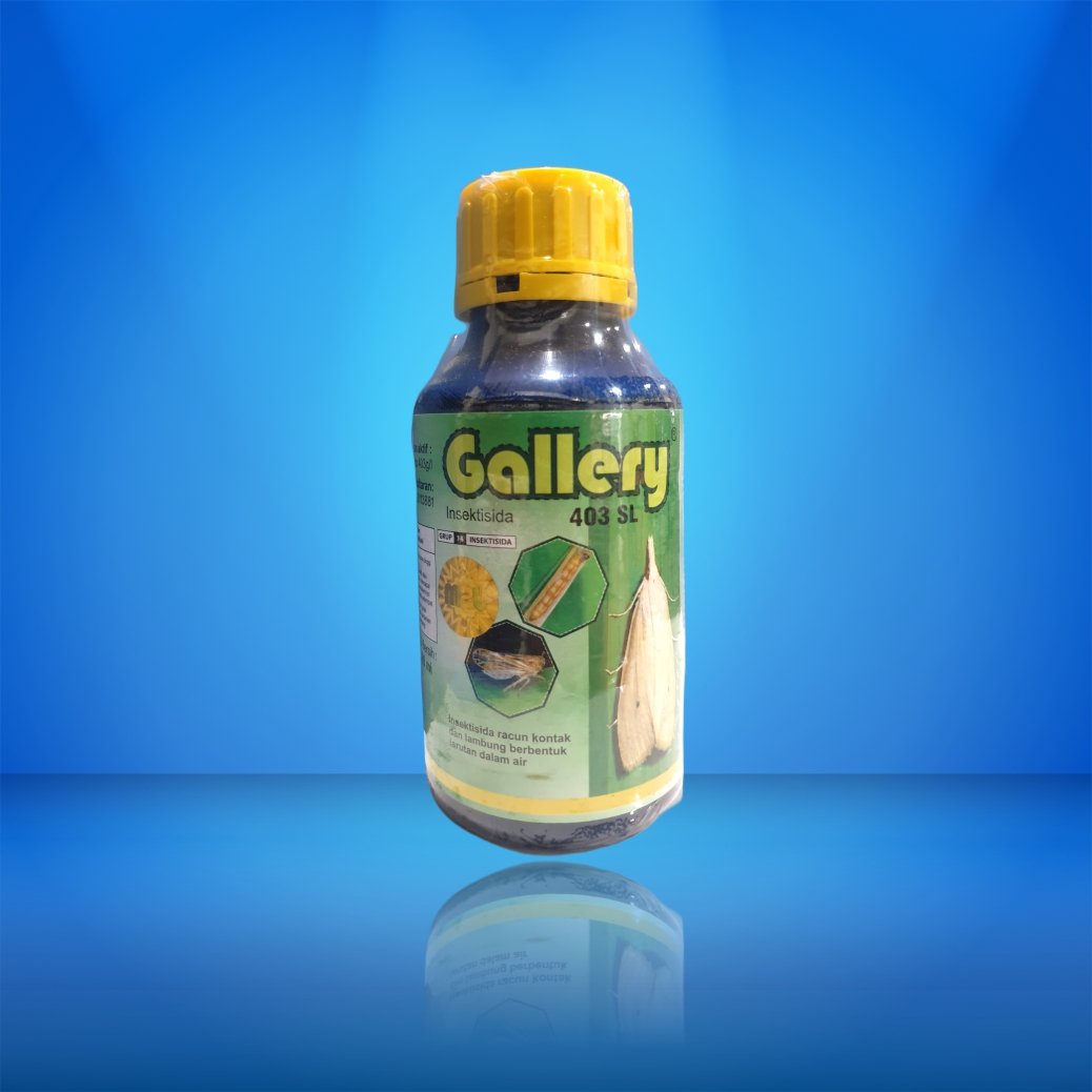 Gallery 403 SL 30 X 500 ml