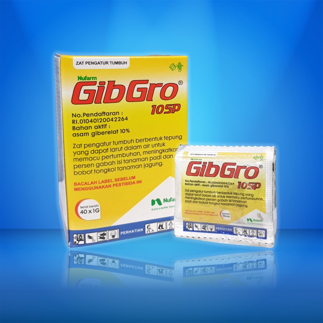 Gibgro 10 SP 25 X 40 X 1 gr