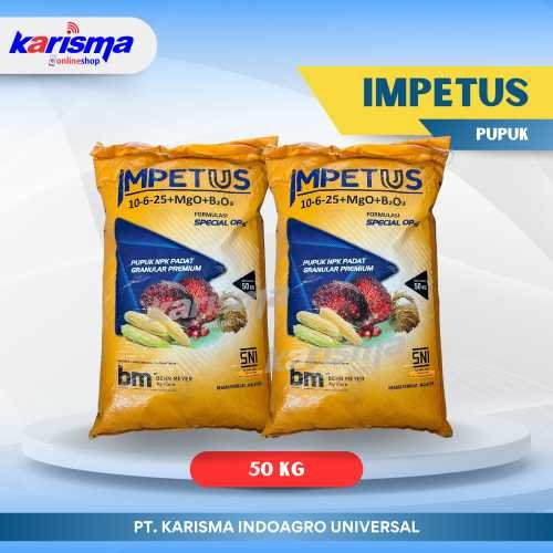 Impetus 10-6-25 + MgO + B2O3 50 kg*