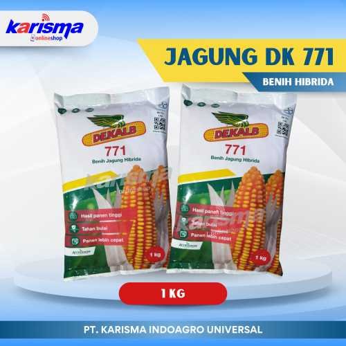 Jagung DK 771 20 X 1 kg (Bayer)
