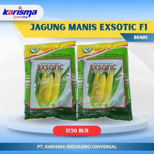 Jagung Manis Exsotic F1 40 X 1750 biji