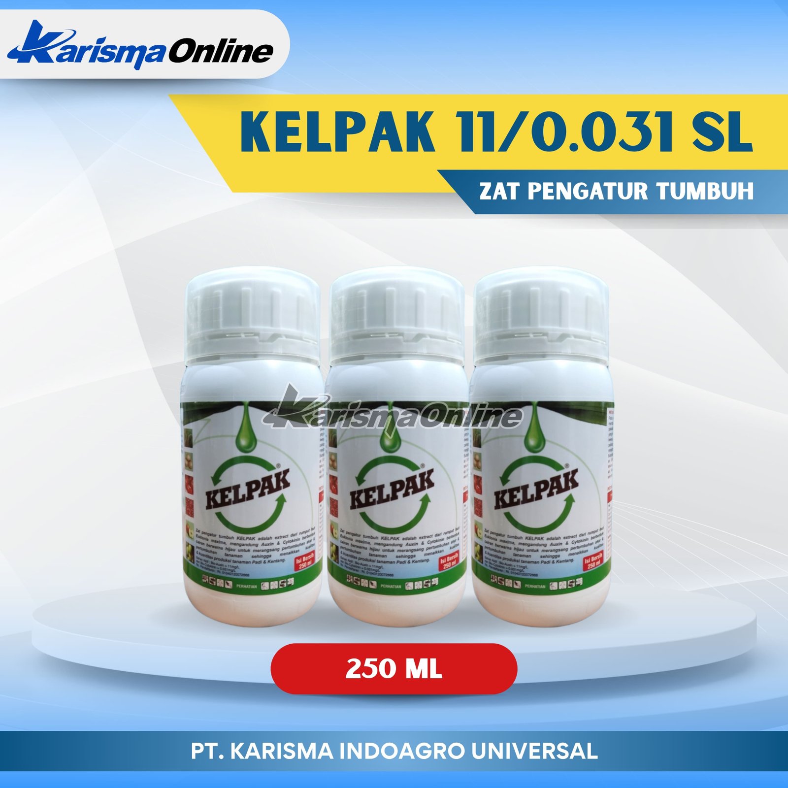 Kelpak 11/0.031 SL 40 X 250 ml