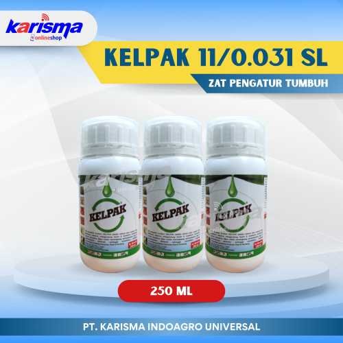 Kelpak 11/0.031 SL 40 X 250 ml