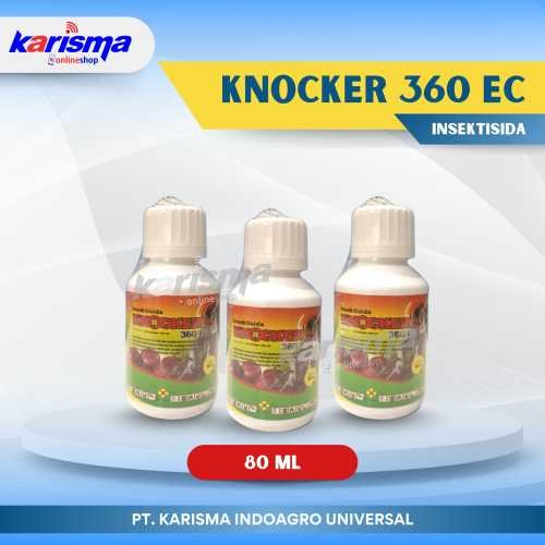 Knocker 50 X 80 ml