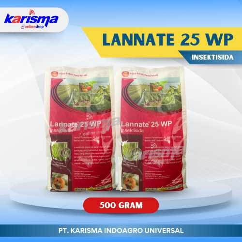 Lannate 25 WP 20 X 500 gr