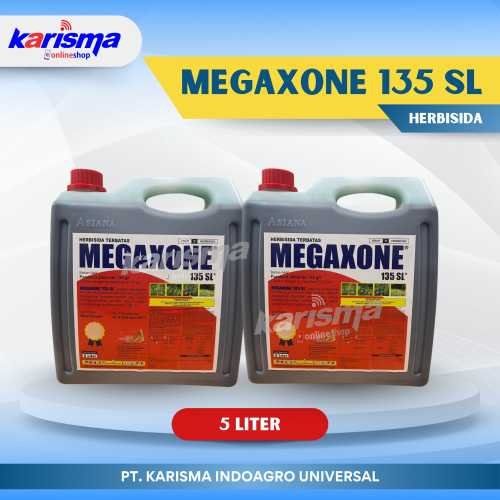 Megaxone 135 SL 4 X 5 ltr