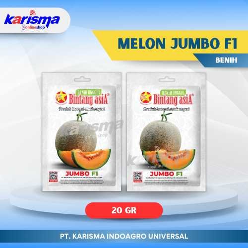 Melon Jumbo F1 12 X 10 X 20 gr