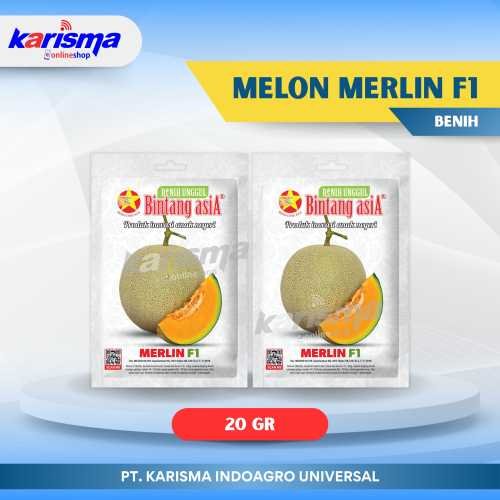 Melon Merlin F1 12 X 10 X 20 gr