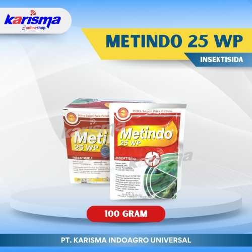 Metindo 25 WP 10 X 10 X 100 gr