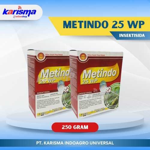 Metindo 25 WP 40 X 250 gr