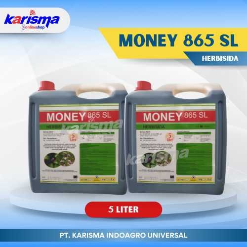 Money 865 SL 4 X 5 ltr
