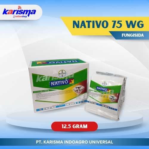 Nativo 75 WG 16 X 20 X 12.5 gr