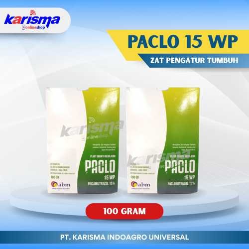Paclo 15 WP 16 X 5 X 100 gr