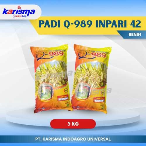 Padi Q-989 Inpari 42 4 X 5 kg