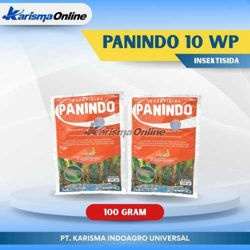Panindo 10 WP 100 X 100 gr