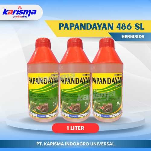Papandayan 486 SL 20 X 1 ltr