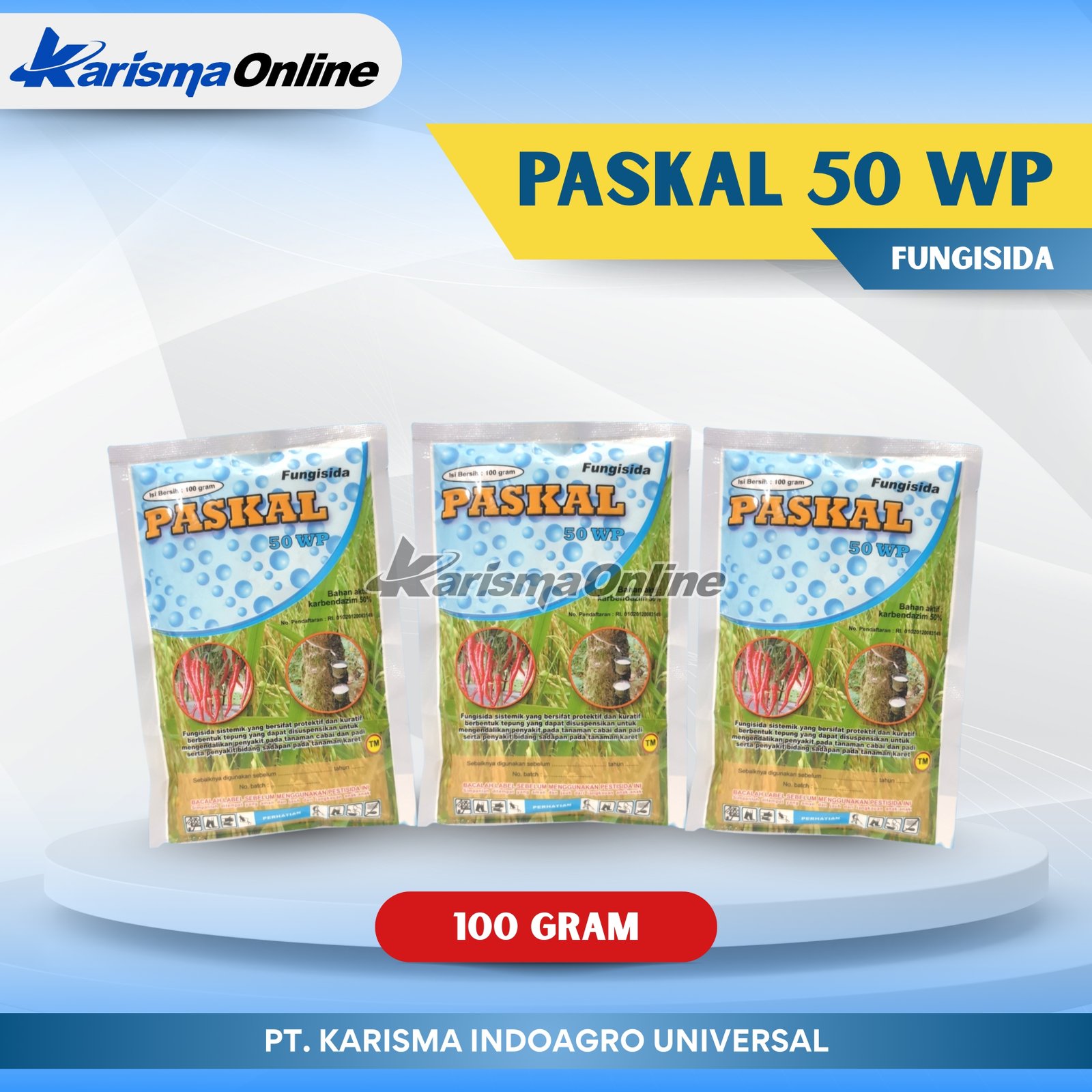 Paskal 50 WP 60 X 100 gr