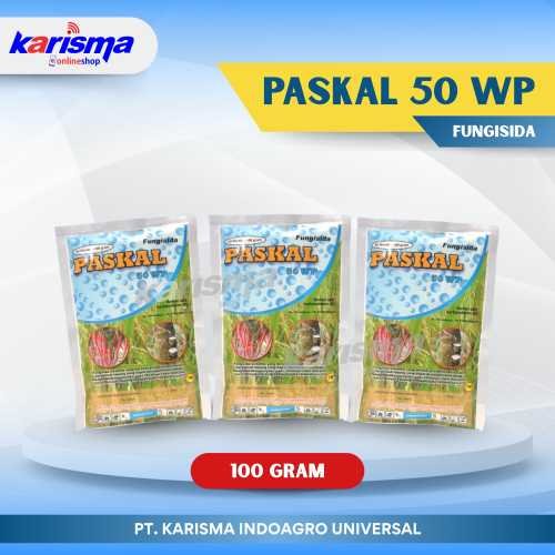 Paskal 50 WP 60 X 100 gr