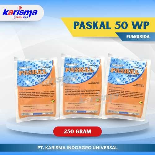 Paskal 50 WP 24 X 250 gr