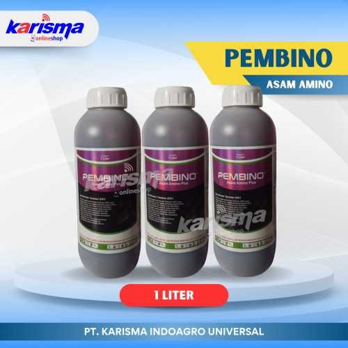 Pembino 12 X 1 ltr