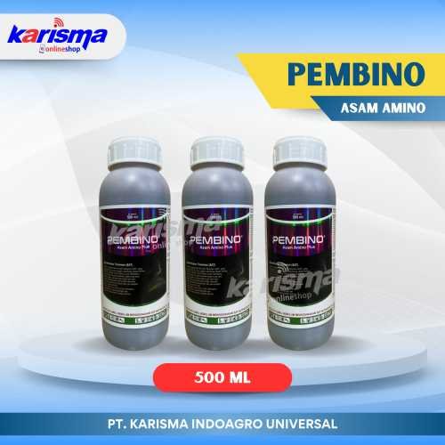 Pembino 20 X 500 ml