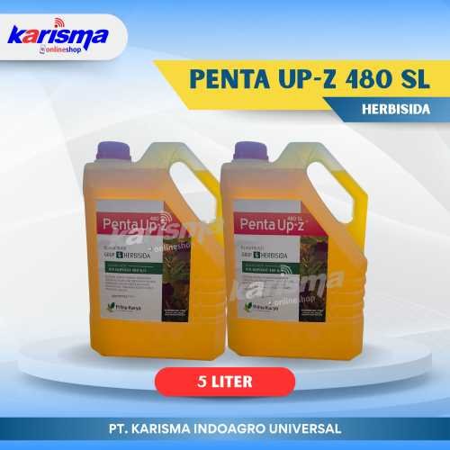 Penta Up-Z 480 SL 4 X 5 ltr + 5 pack Penta-Furon 5 gr
