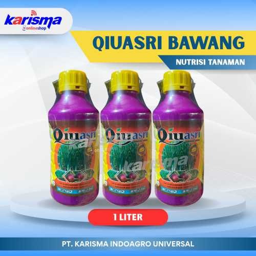 Qiuasri Bawang 20 X 1 ltr