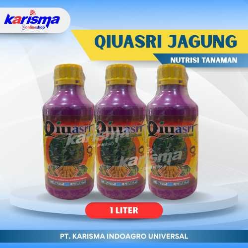 Qiuasri Jagung 20 X 1 ltr