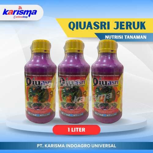 Qiuasri Jeruk 20 X 1 ltr