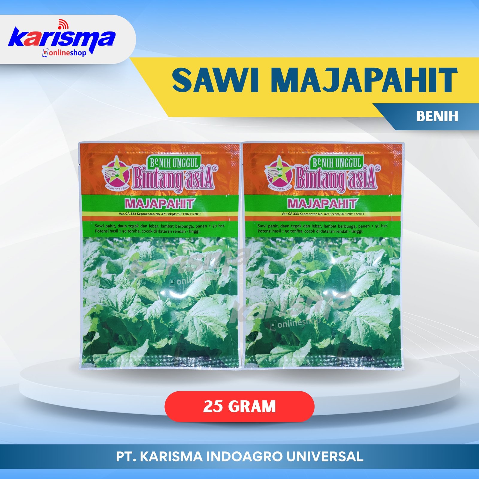 Sawi Majapahit 12 X 15 X 25 gr
