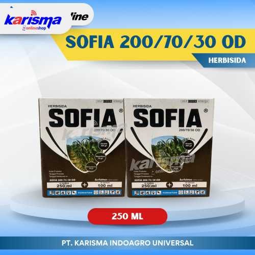 Sofia 200/70/30 OD 32 X 250 ml