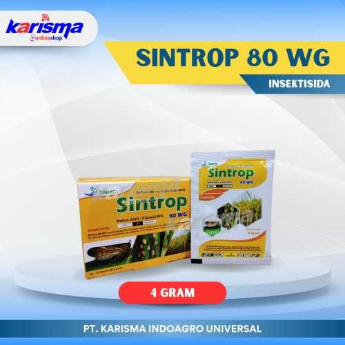 Sintrop 80 WG 40 X 10 X 4 gr