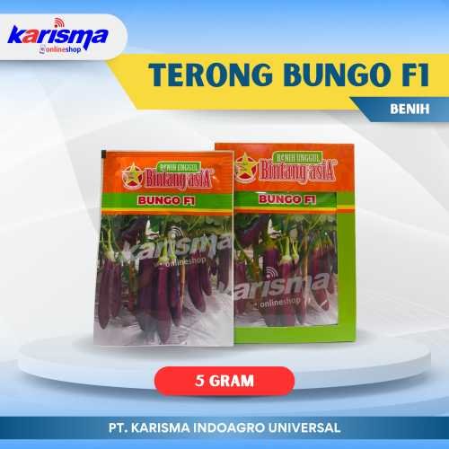 Terong Bungo F1 12 X 20 X 5 gr*