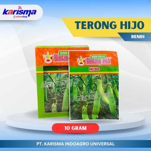Terong Hijo 12 X 15 X 10 gr
