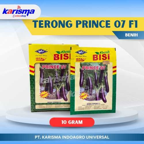 Terong Prince 07 F1 20 X 12 X 10 gr