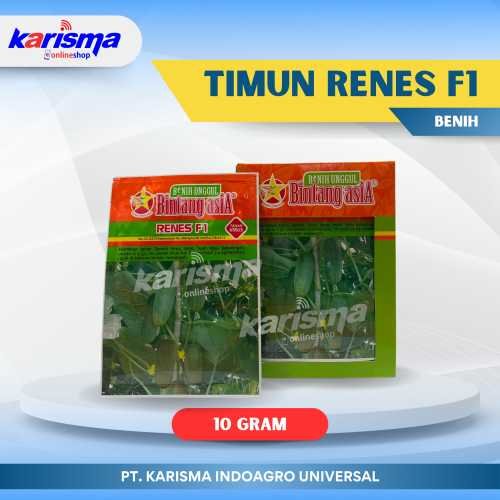 Timun Renes F1 12 X 15 X 10 gr*