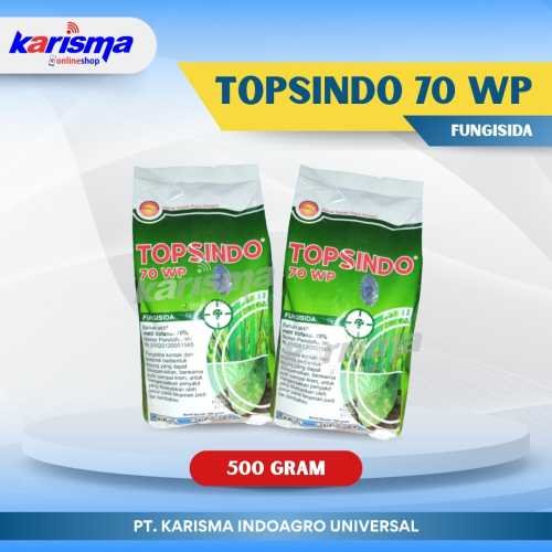Topsindo 70 WP 20 X 500 gr