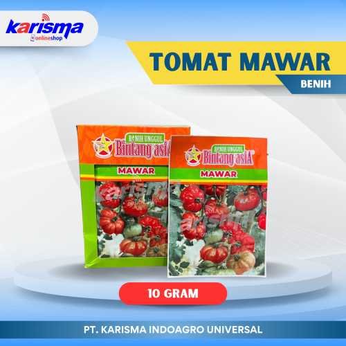 Tomat Mawar 12 X 15 X 10 gr