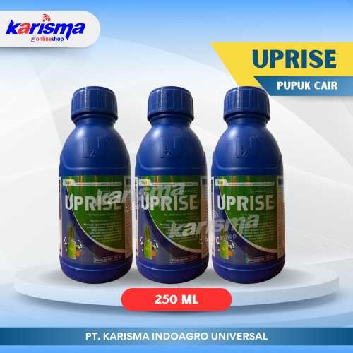 Uprise 20 X 250 ml*