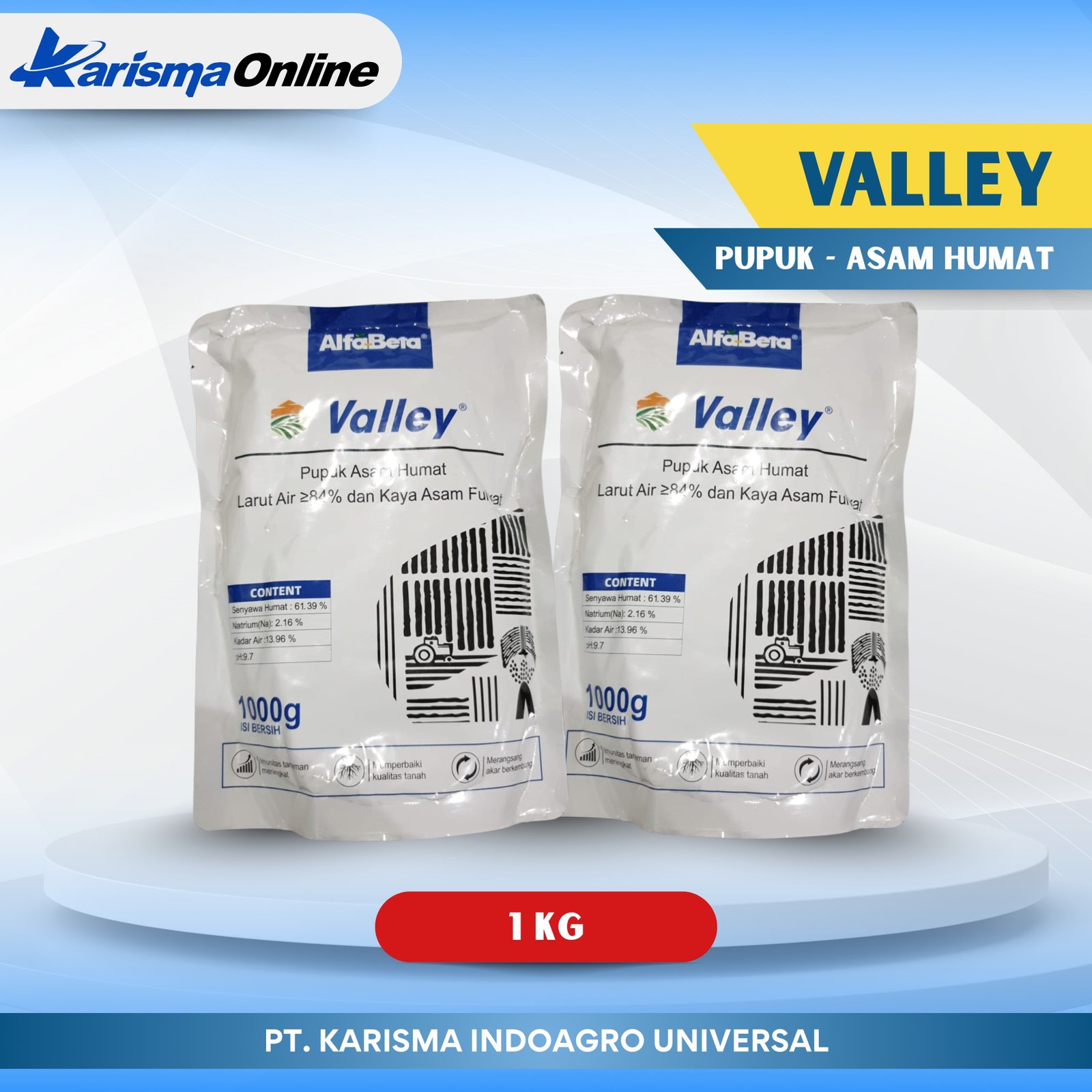 Valley 10 x 1 kg