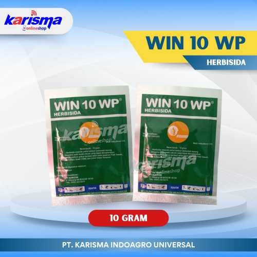 Win 10 WP 25 X 20 X 10 gr