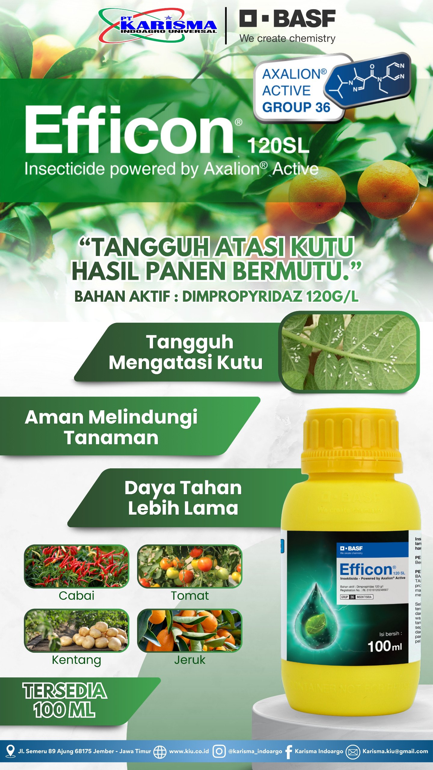 Efficon 120 SL 48 X 100 ml