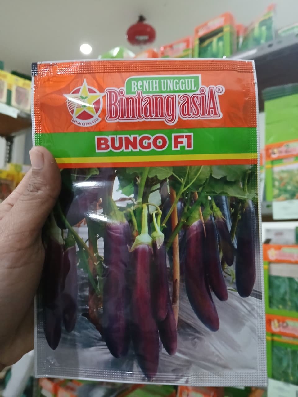 Terong Bungo F1 12 X 20 X 5 gr*