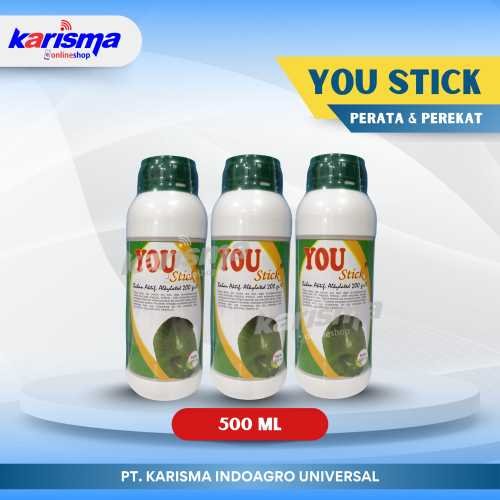 You Stick 20 X 500 ml